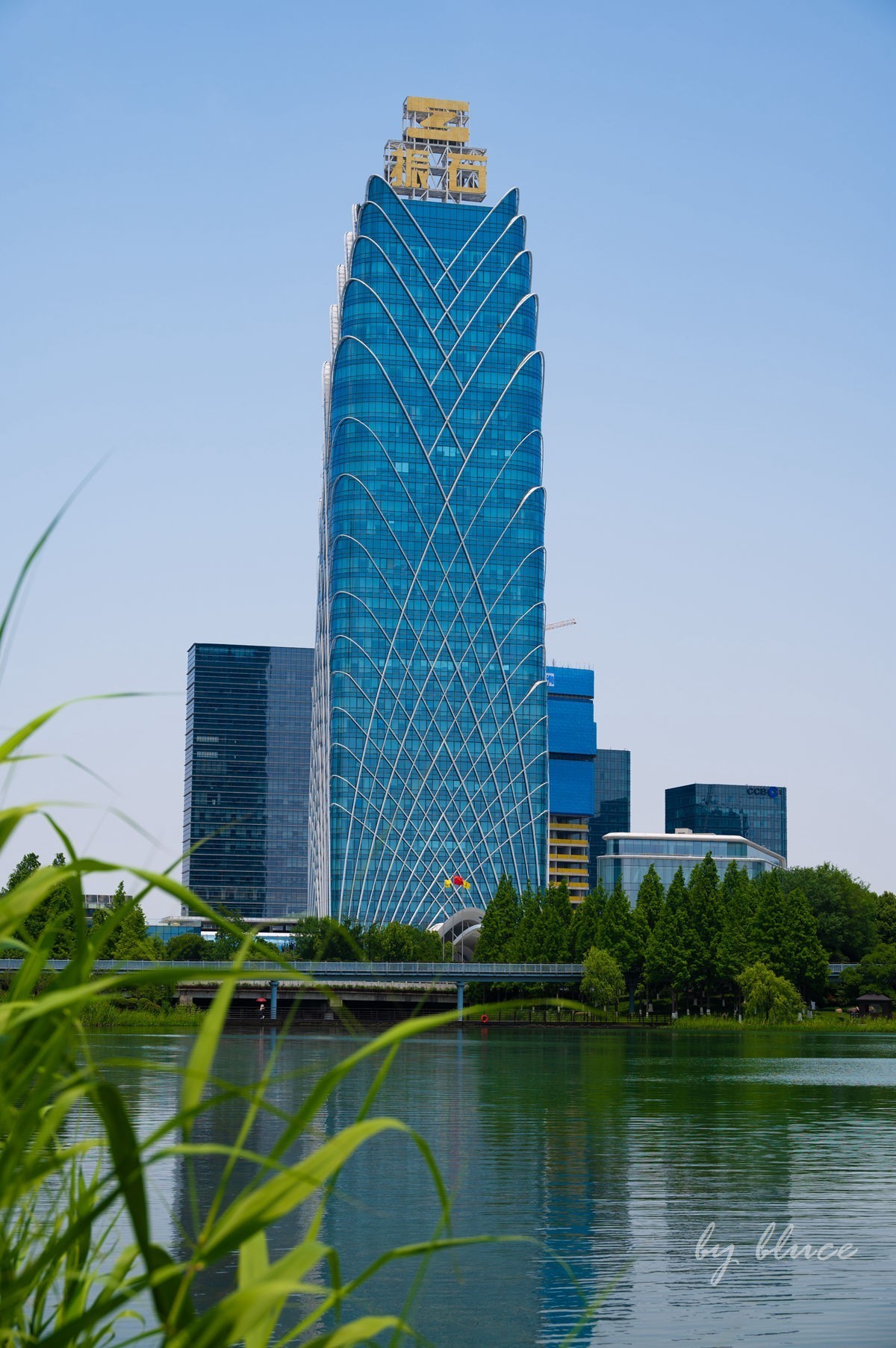 夏日凤凰湖（1）