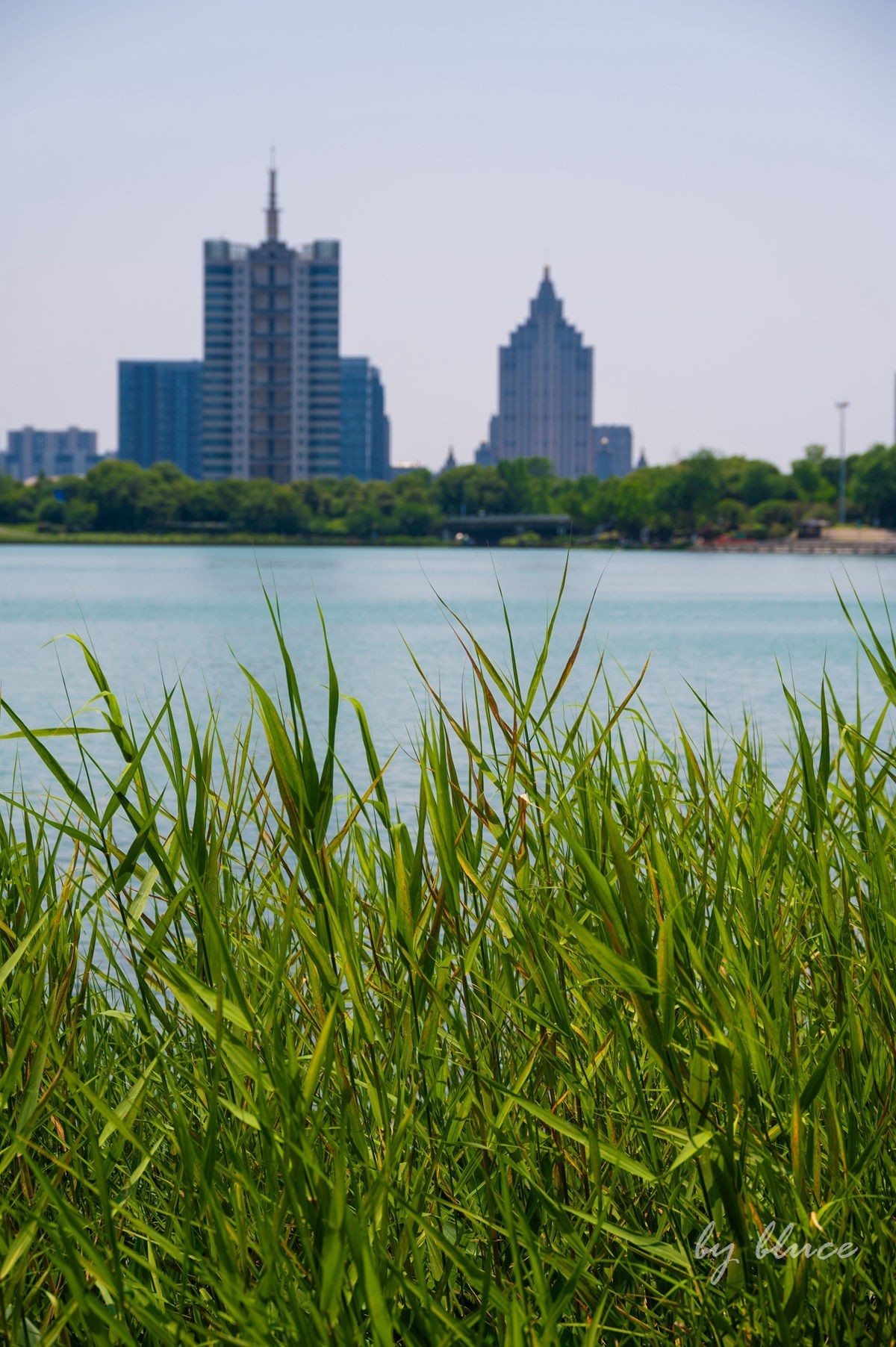 夏日凤凰湖（1）