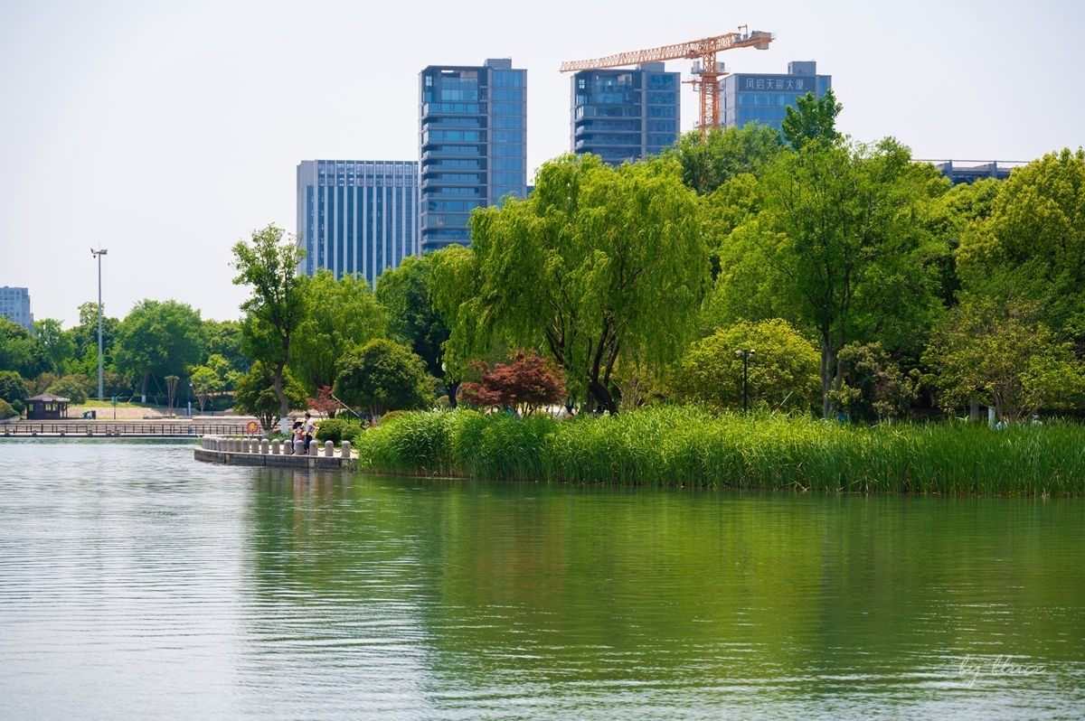 夏日凤凰湖（1）