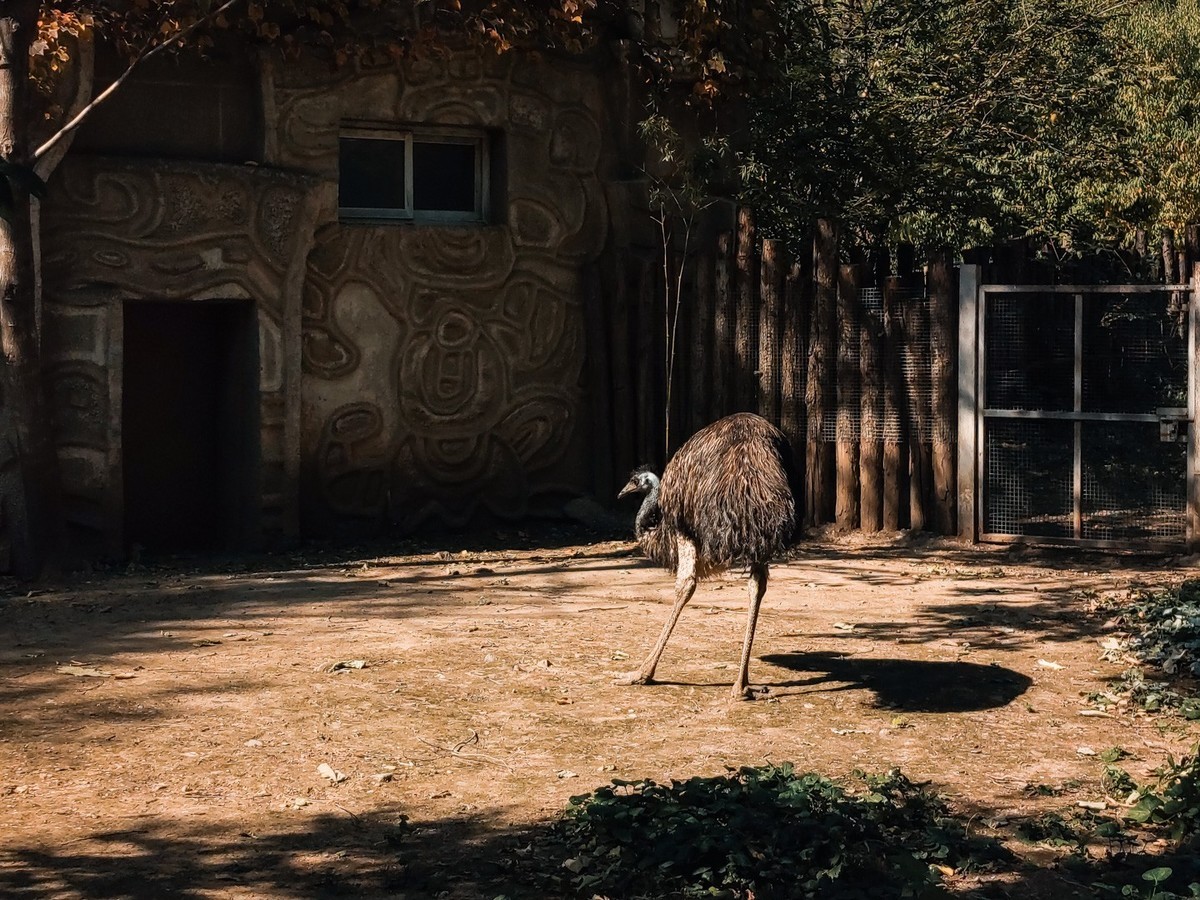 #留住美丽秋天#