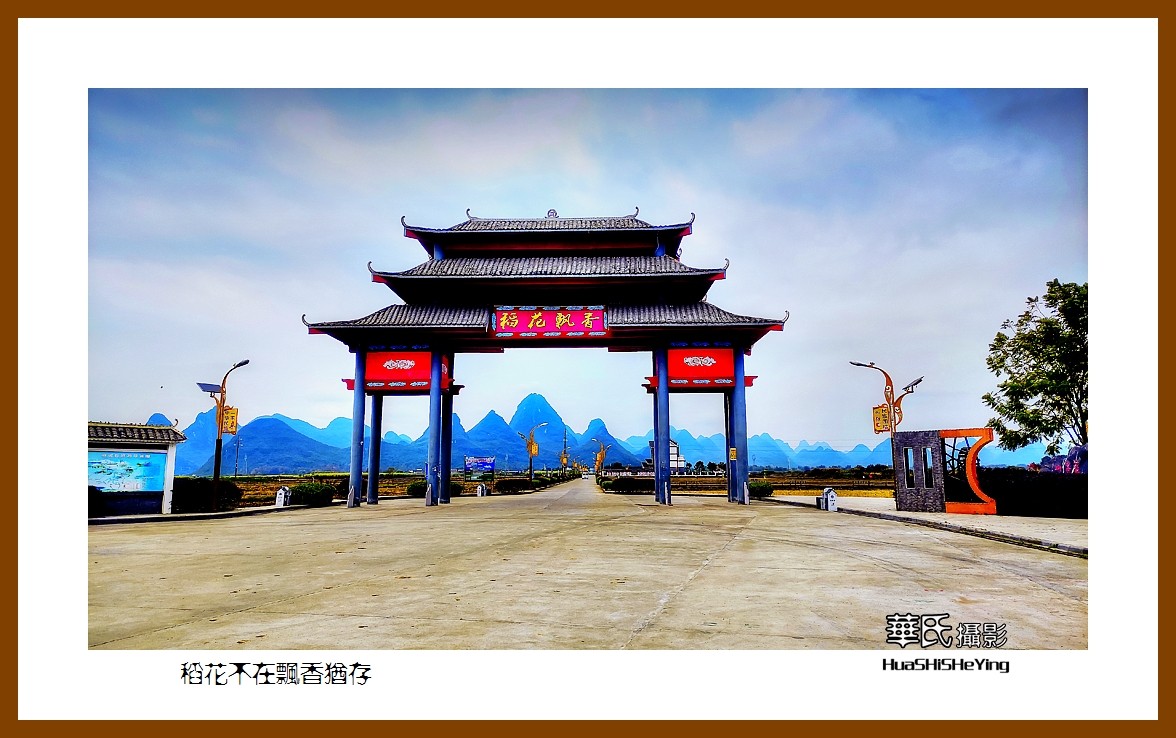 2021南行慢游广西019稻花不在飘香犹存柳州市柳城县古砦仫佬族乡