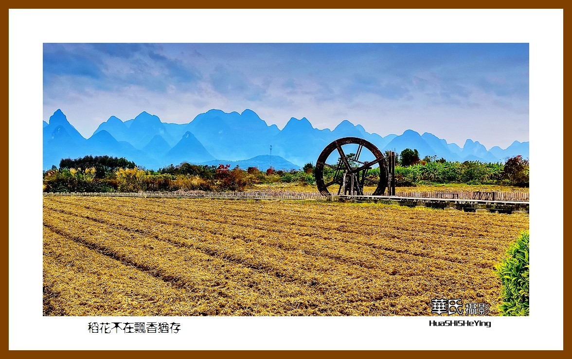 2021南行慢游广西019稻花不在飘香犹存柳州市柳城县古砦仫佬族乡