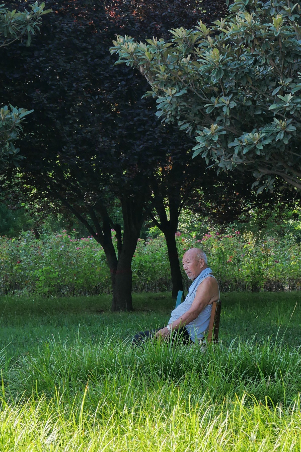 下班路上随手拍几张