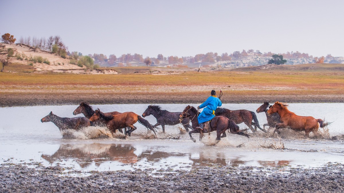 克什克腾旗------疾马飞浪