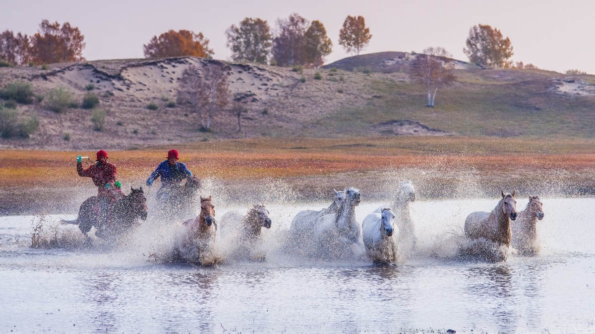 克什克腾旗------疾马飞浪