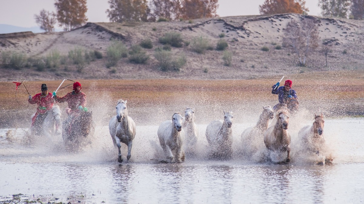 克什克腾旗------疾马飞浪