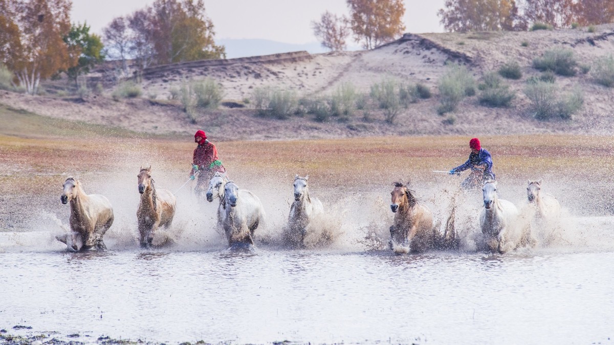 克什克腾旗------疾马飞浪