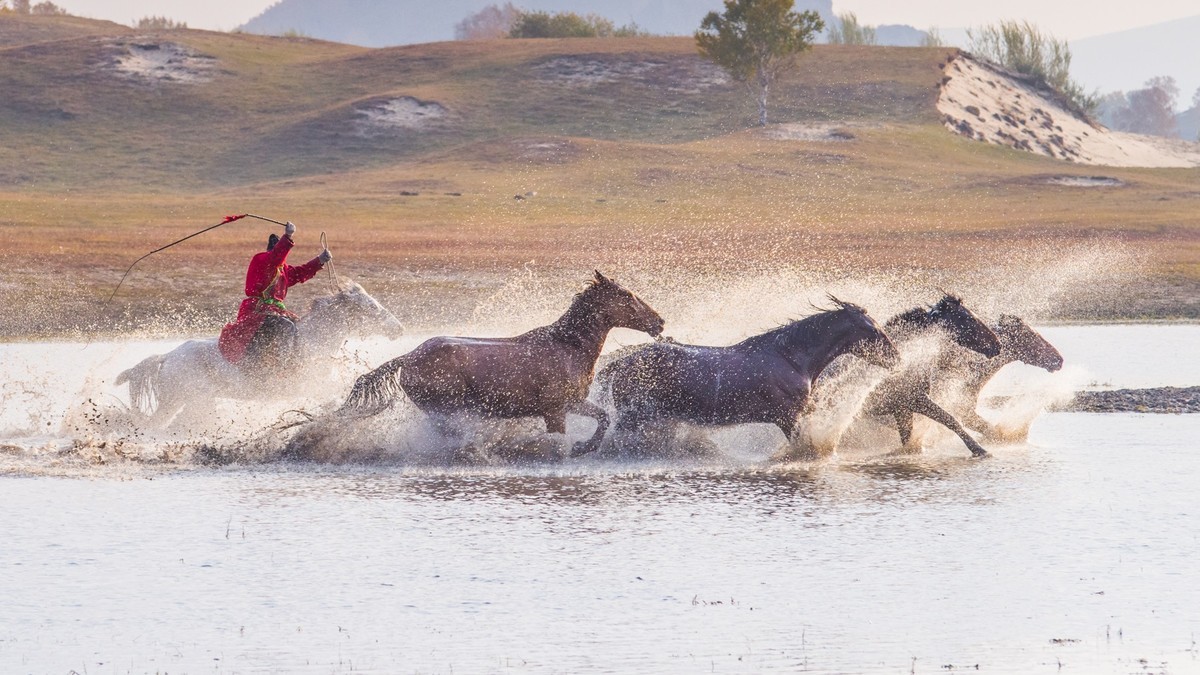 克什克腾旗------疾马飞浪