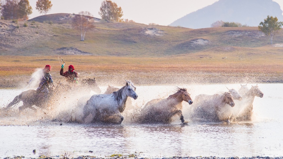 克什克腾旗------疾马飞浪