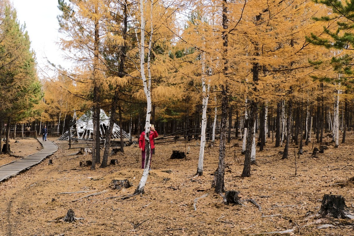 秋天的景色（二）