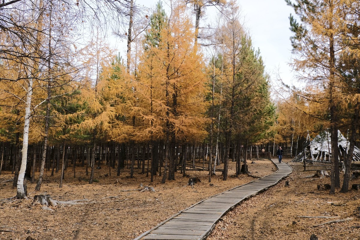秋天的景色（二）