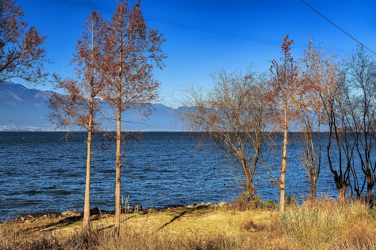大理洱海 · 玉白菜湿地