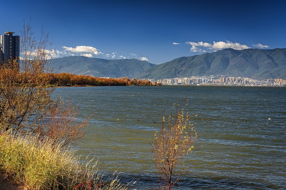 大理洱海 · 玉白菜湿地