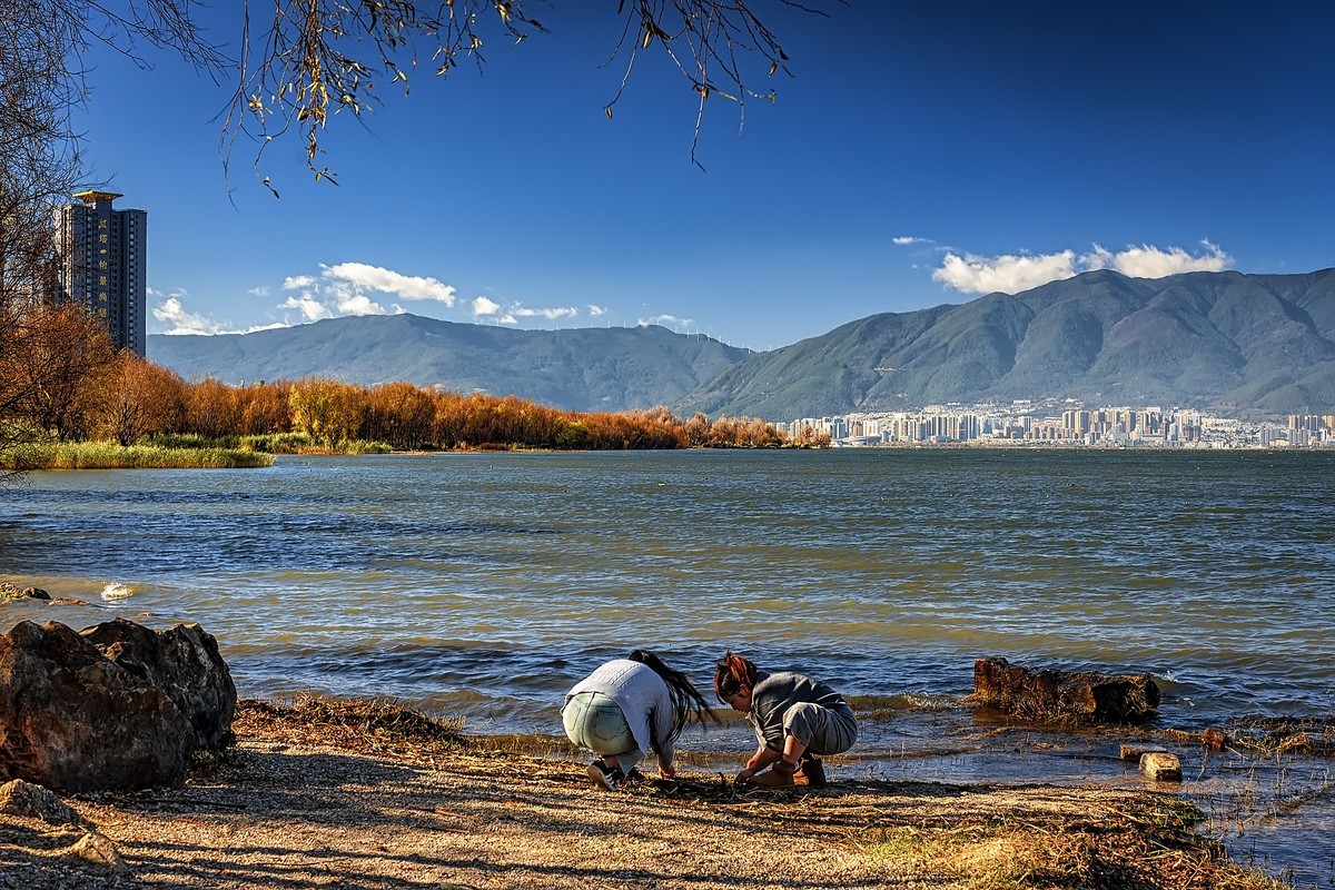大理洱海 · 玉白菜湿地