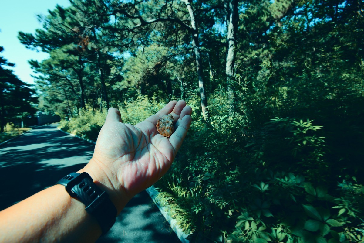 出不了门，练练调色