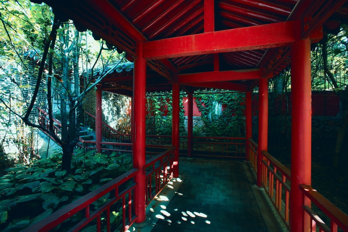 出不了门，练练调色