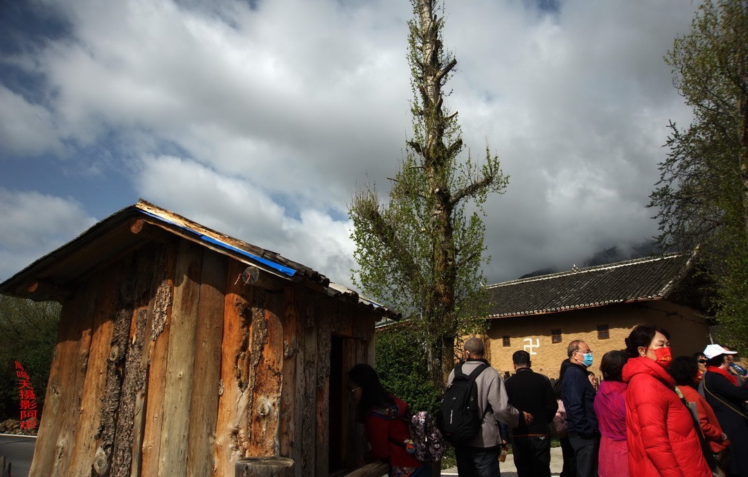 2022年5月爱情海、       周鸣天