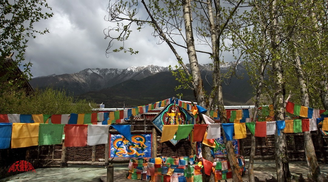 2022年5月爱情海、       周鸣天