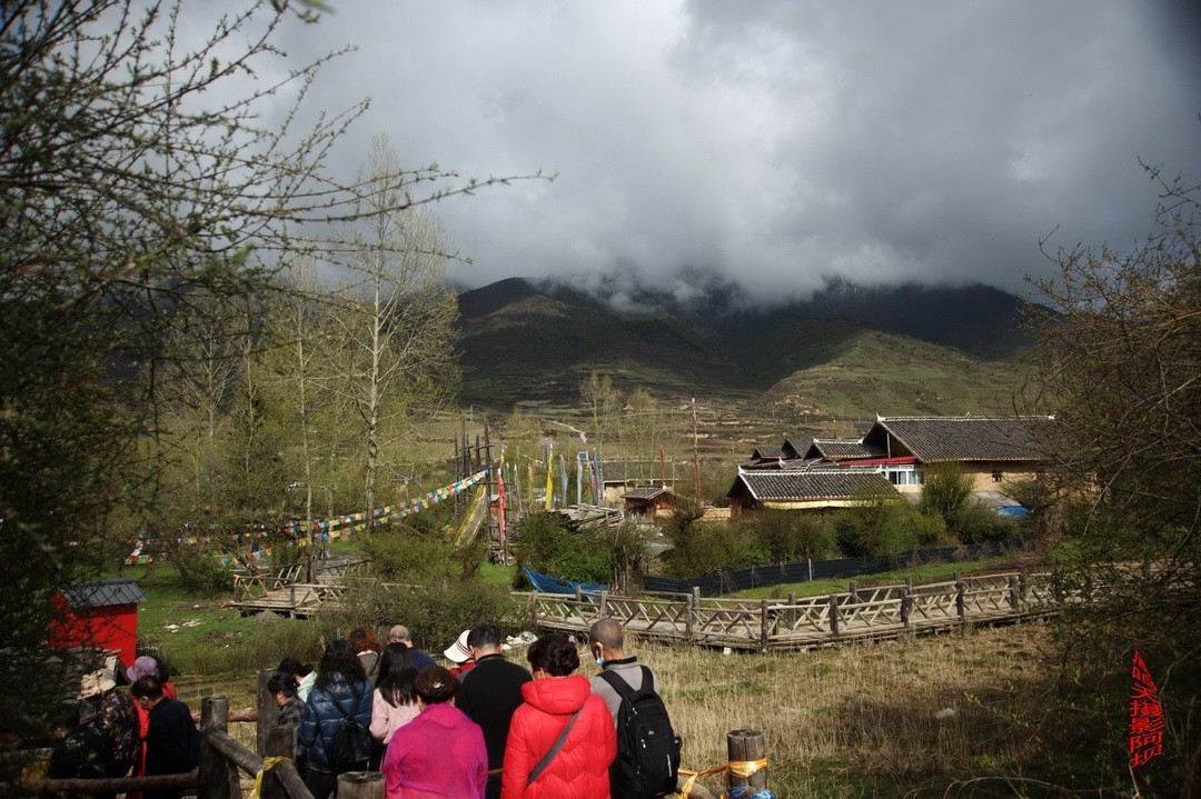 2022年5月爱情海、       周鸣天