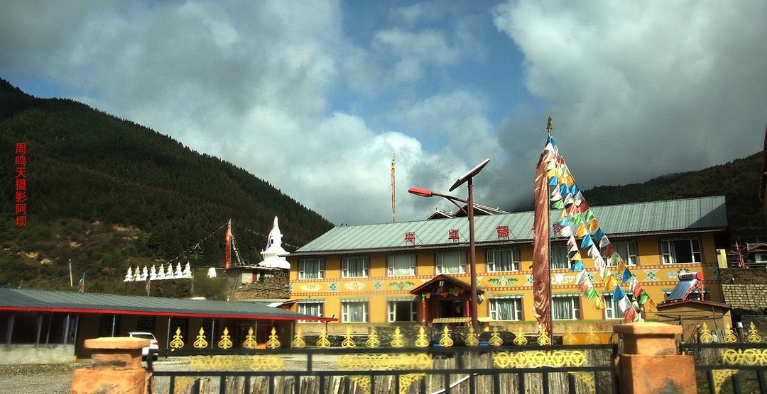 2022年5月爱情海、       周鸣天