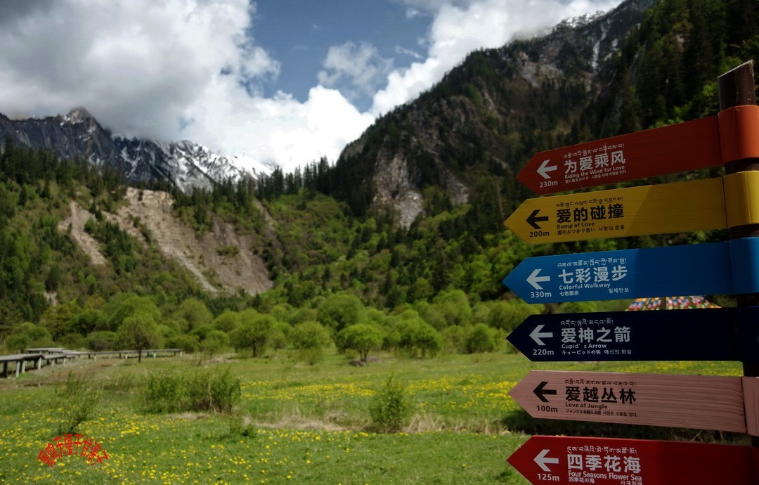 2022年5月爱情海、       周鸣天