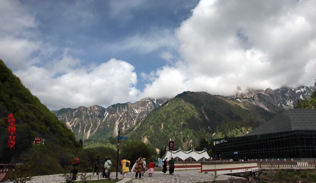 2022年5月爱情海、       周鸣天