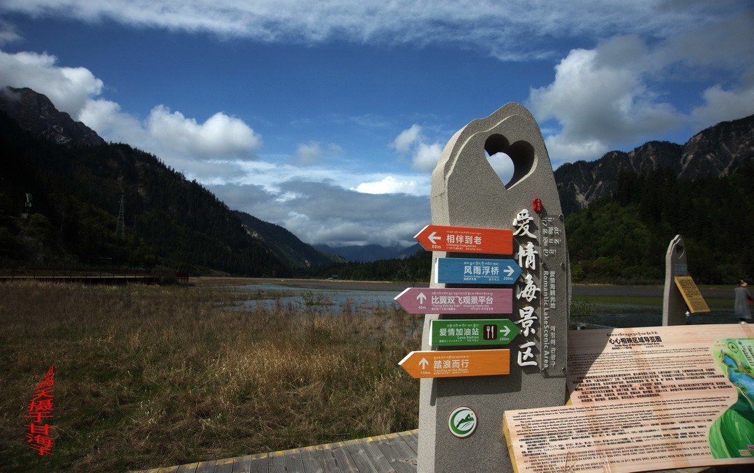 2022年5月爱情海、       周鸣天