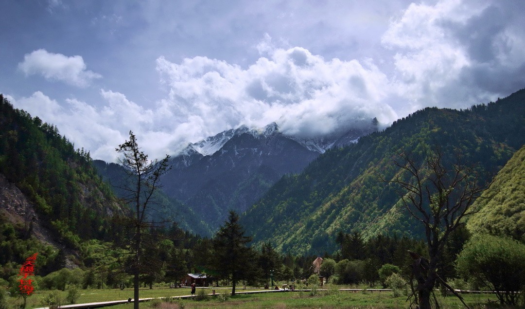 2022年5月爱情海、       周鸣天