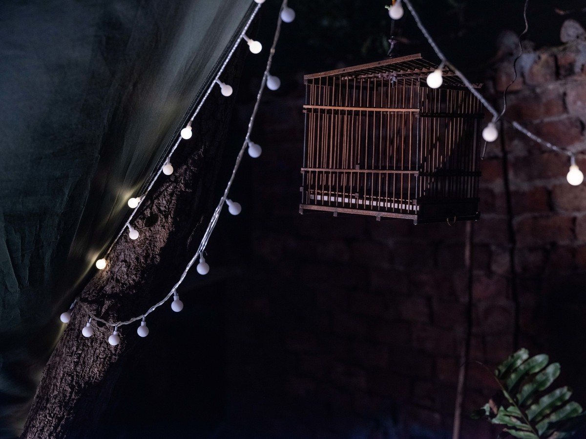 GFX50Sii+GF 45-100 F4.0 ( 试高感-防抖-手持拍摄 )