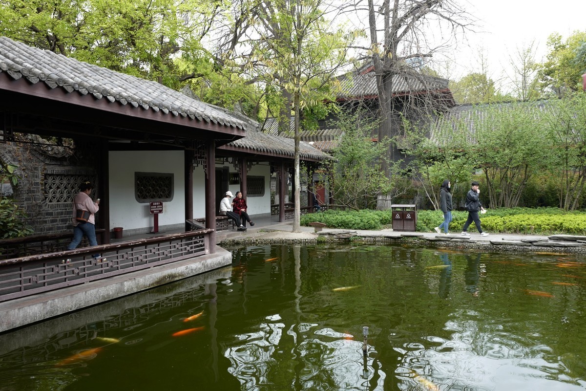 成都之行——人民公园（17）