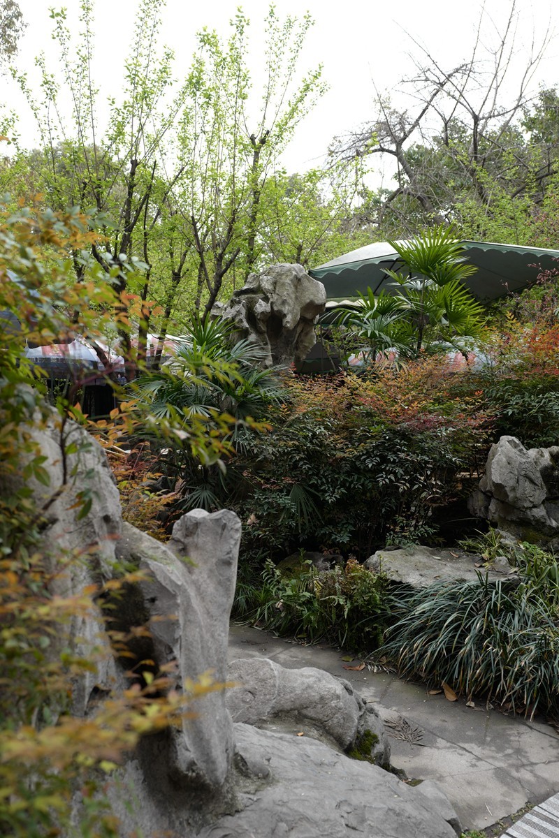 成都之行——人民公园（17）