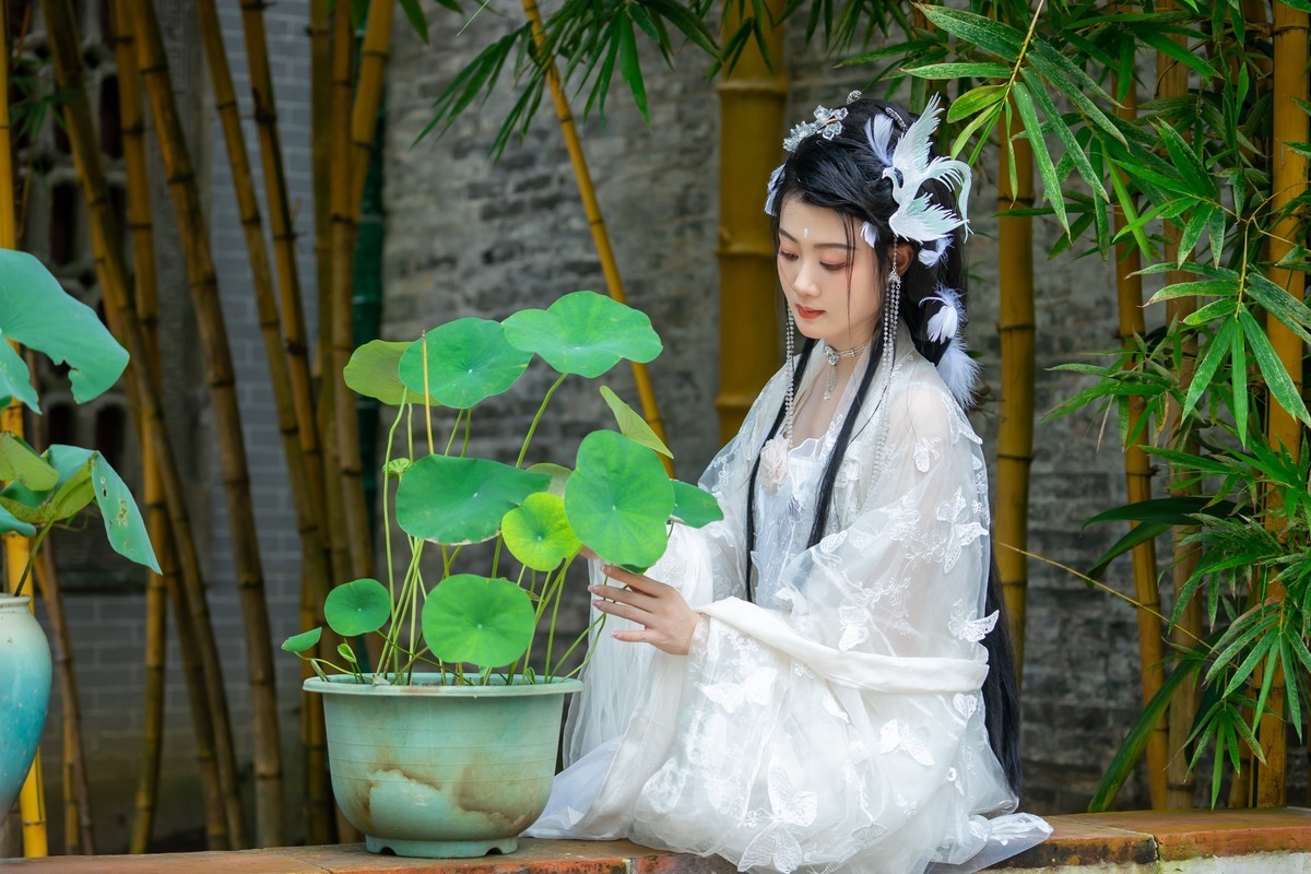 美少女〔文华〕