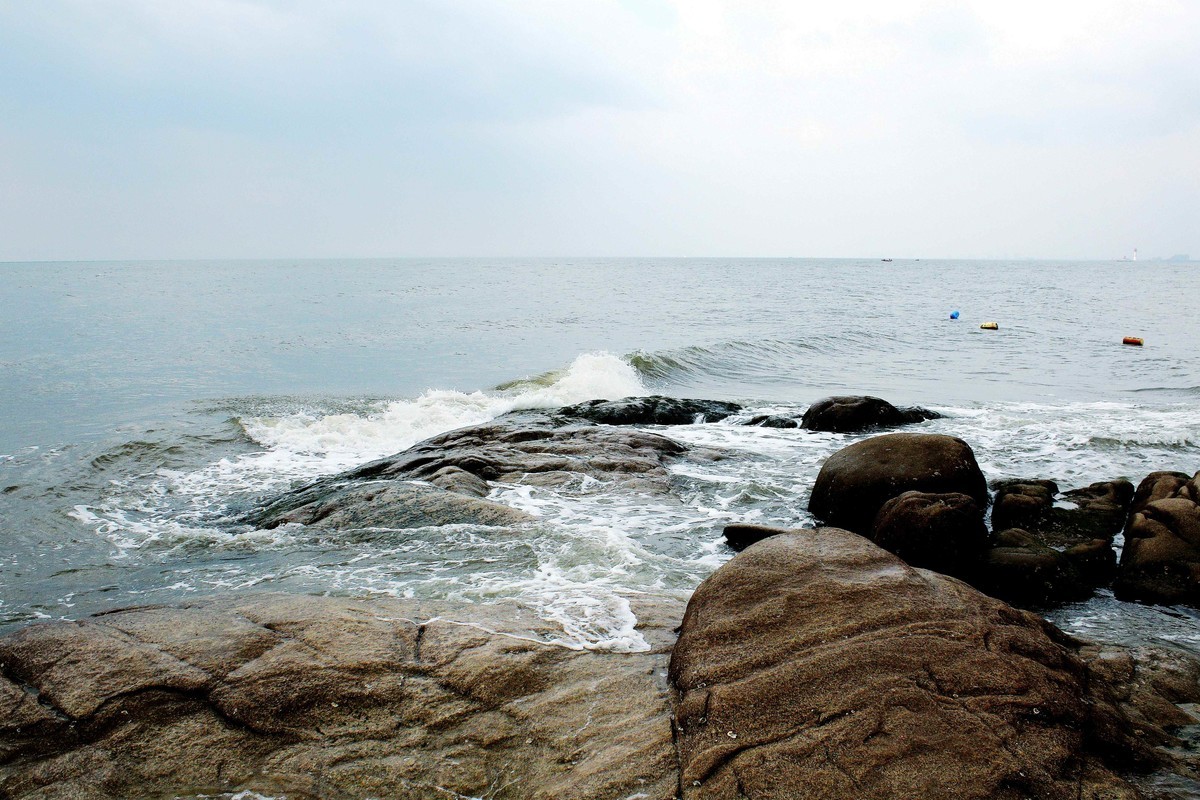 2024年拍海边老虎石