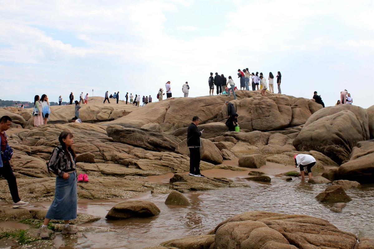 2024年拍海边老虎石