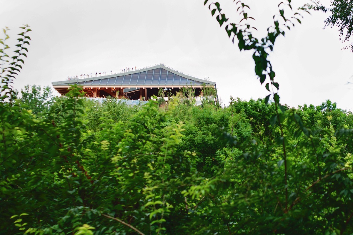 湿地公园场景随拍