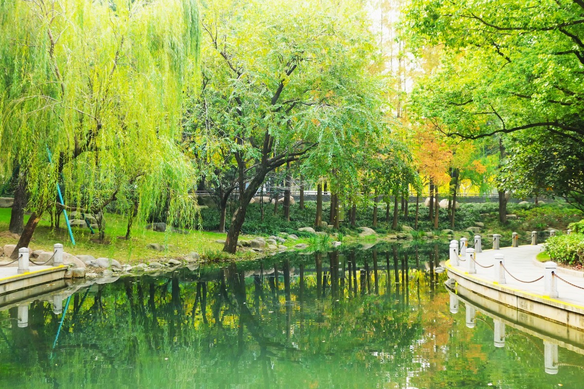 【百代小楼】——摄于上海徐家汇绿地公园