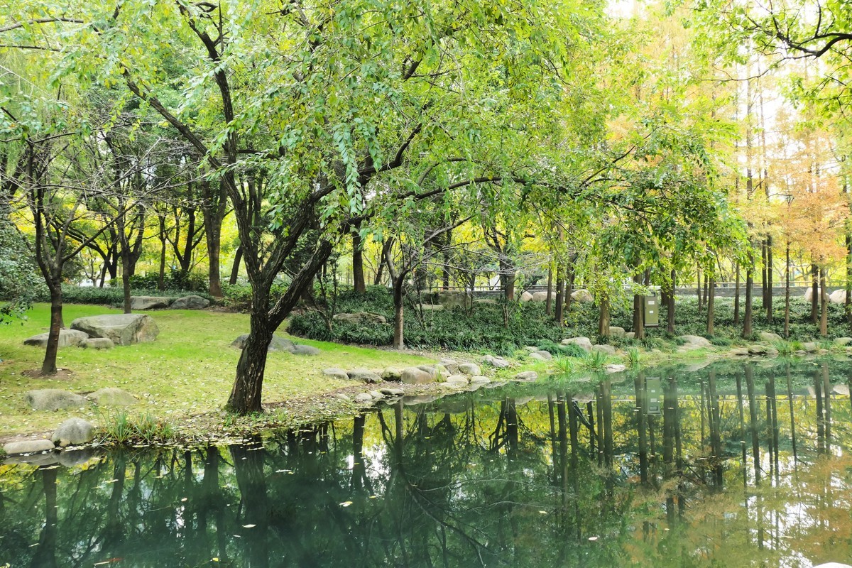 【百代小楼】——摄于上海徐家汇绿地公园