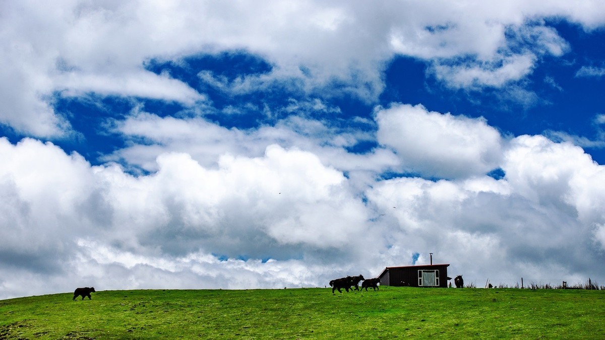 梦幻之旅，一生记忆，318川藏线