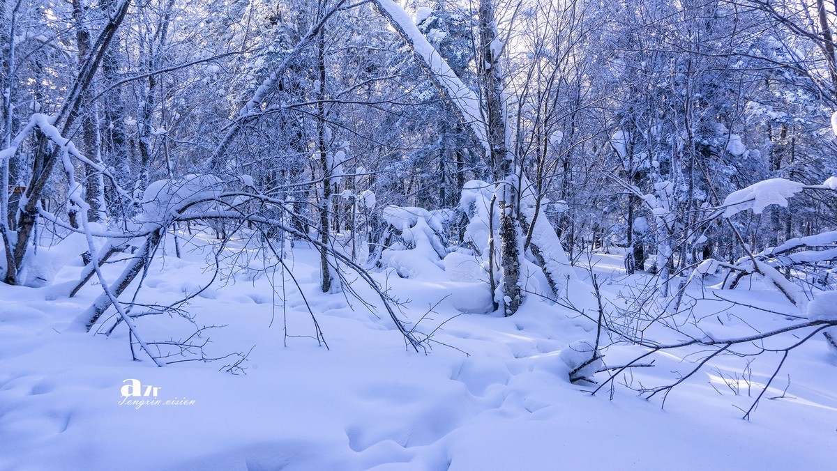 老克里湖林海雪原（35）