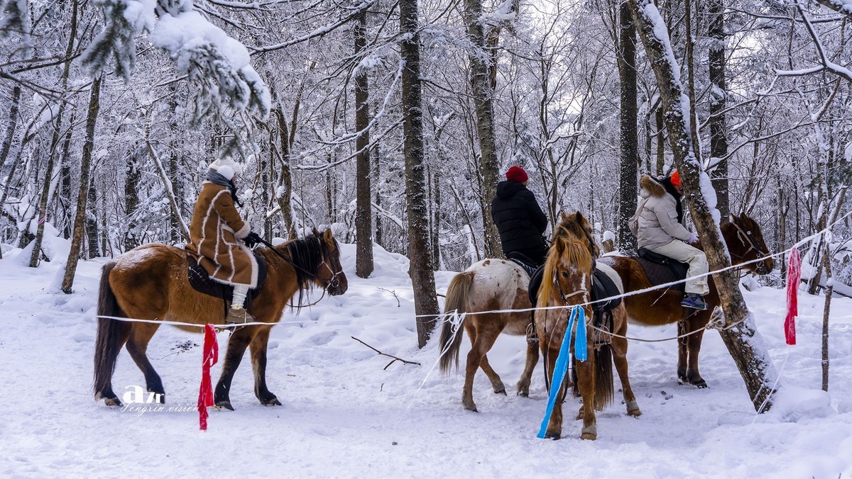 老克里湖林海雪原（35）