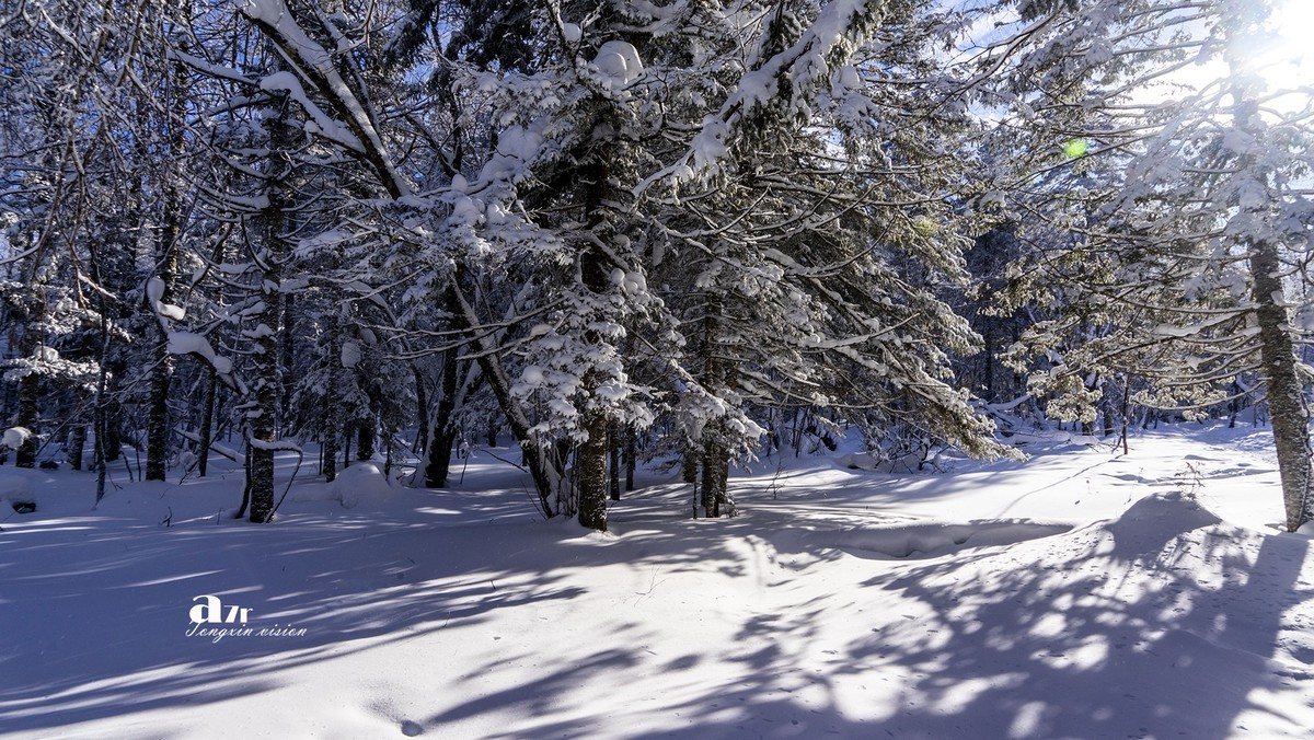 老克里湖林海雪原（35）