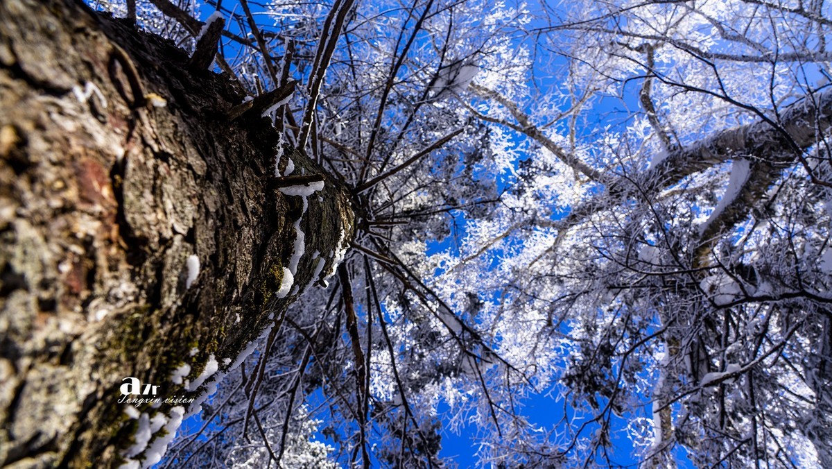 老克里湖林海雪原（35）