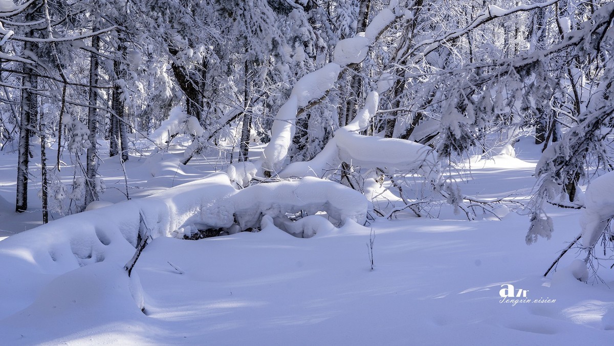 老克里湖林海雪原（35）
