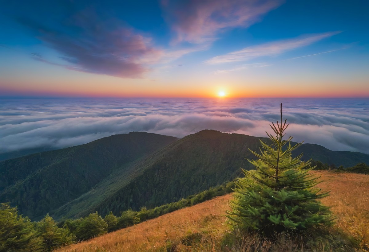 探寻生命的真谛