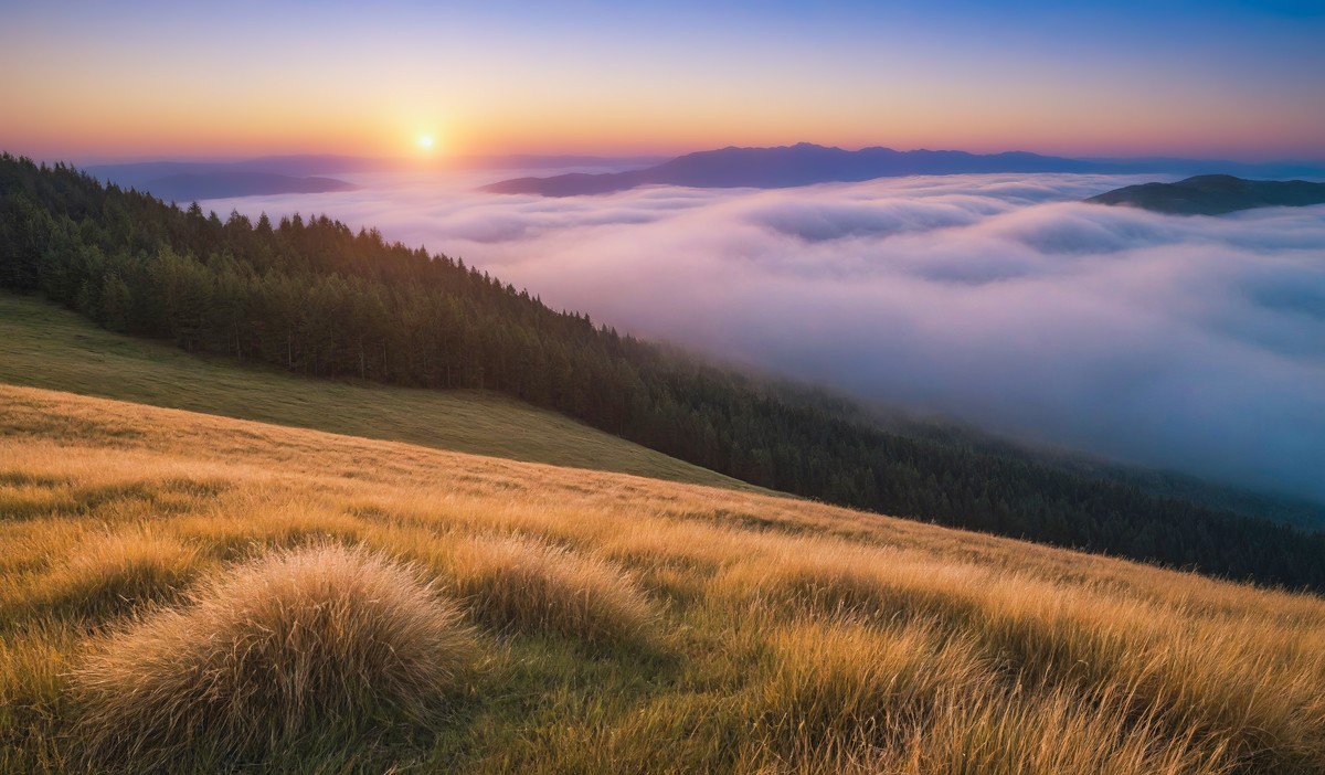 探寻生命的真谛