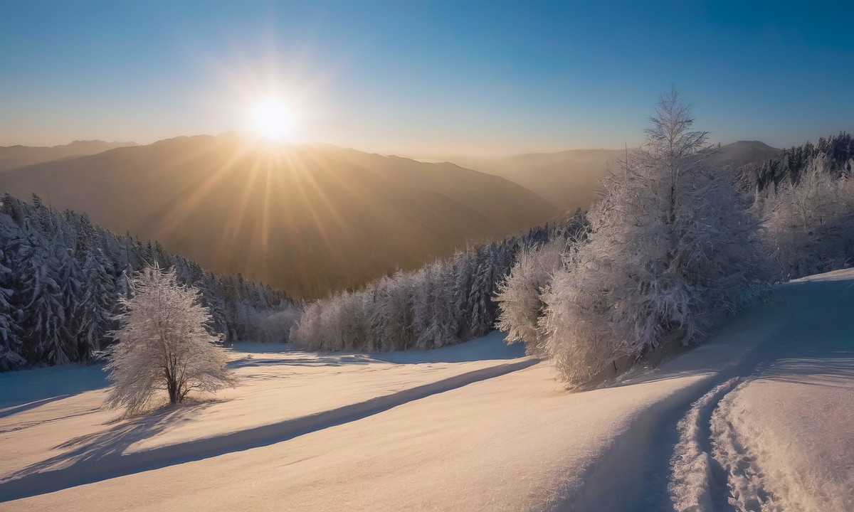 探寻生命的真谛