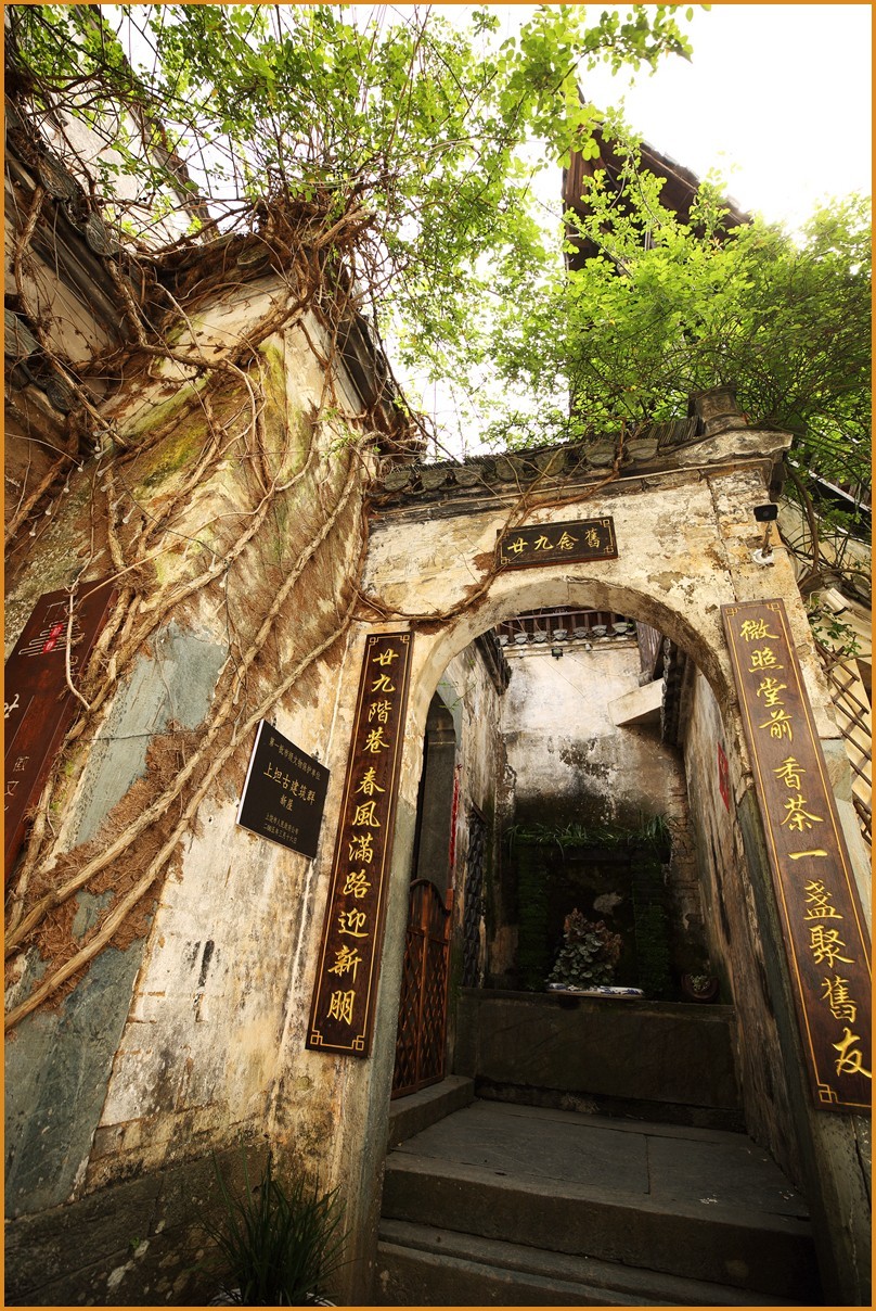 江西行—老街古树