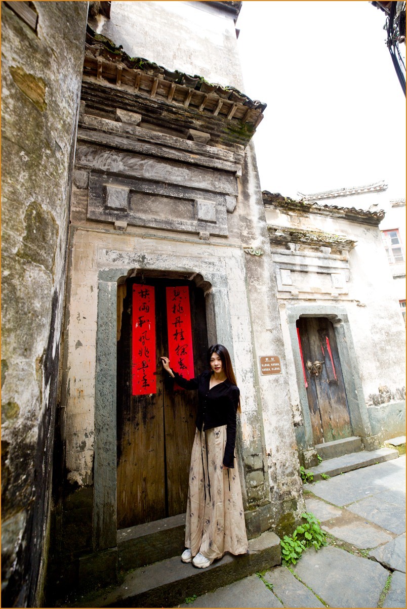 江西行—老街古树