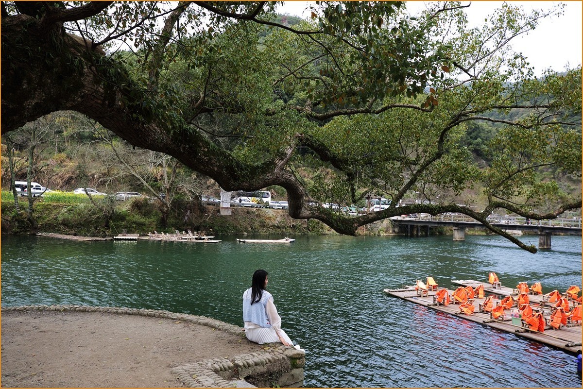 江西行—老街古树