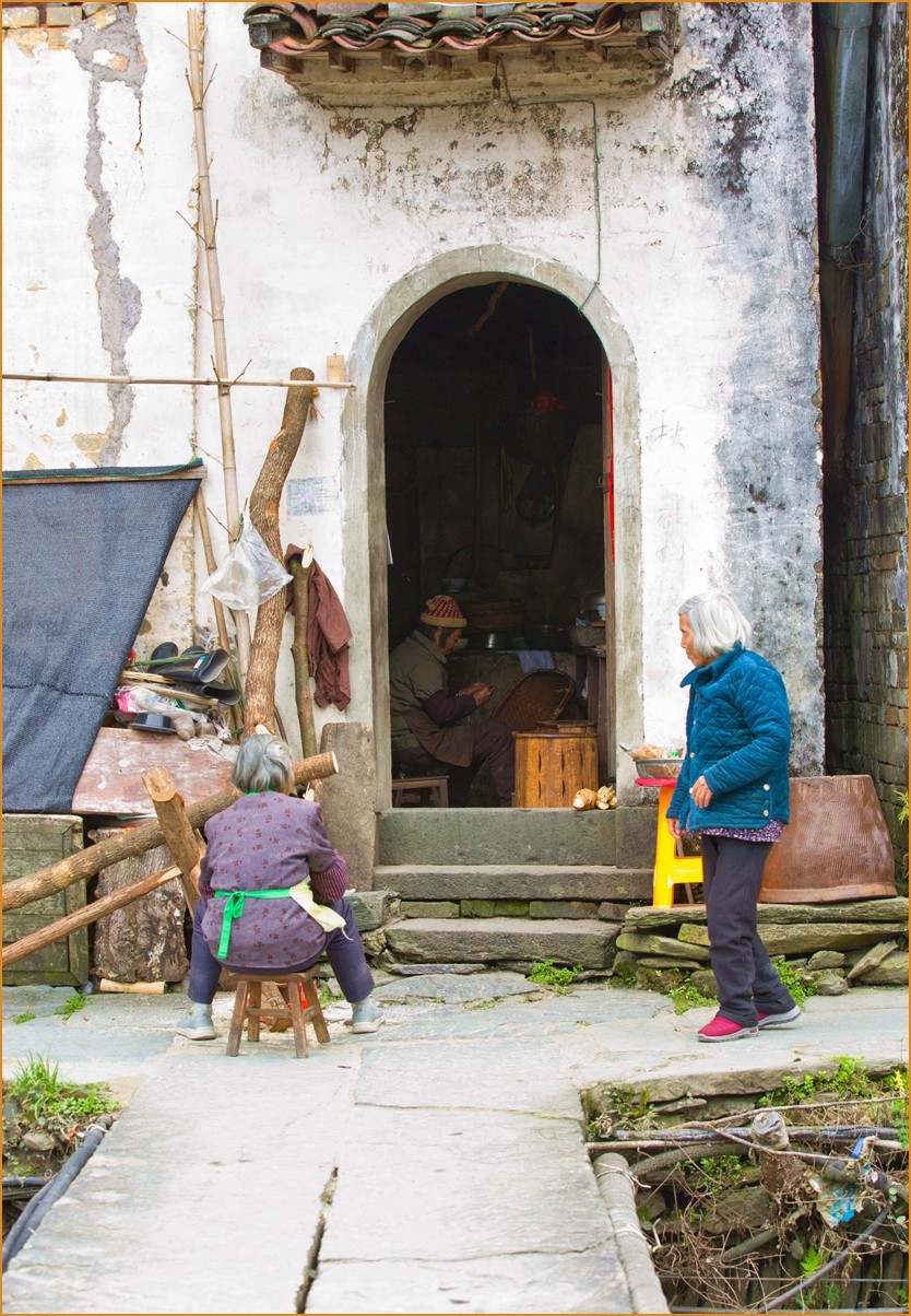 江西行—老街古树